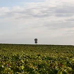 Western Le Relais Du Vigneron