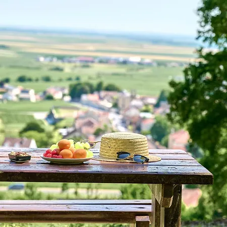 Western Le Relais Du Vigneron Hotel Blancs-Coteaux