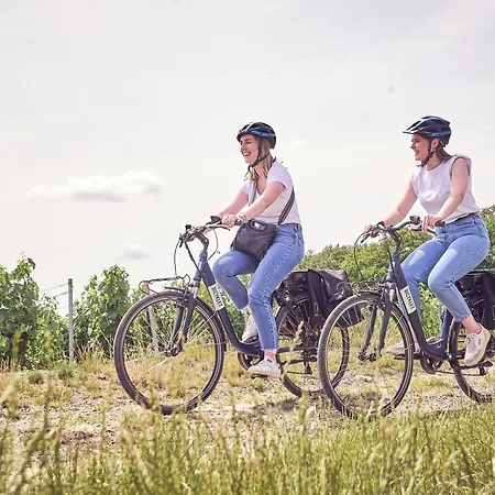 Hotel Western Le Relais Du Vigneron 3*