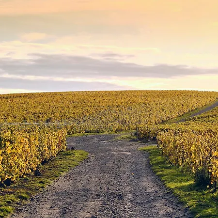 Western Le Relais Du Vigneron 3* Blancs-Coteaux