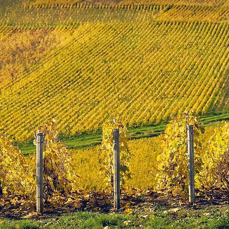 Western Le Relais Du Vigneron וורטי