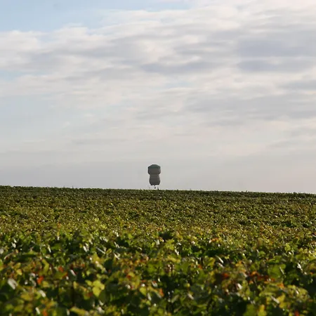 Western Le Relais Du Vigneron