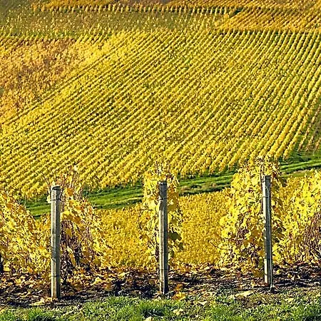 호텔 Western Le Relais Du Vigneron