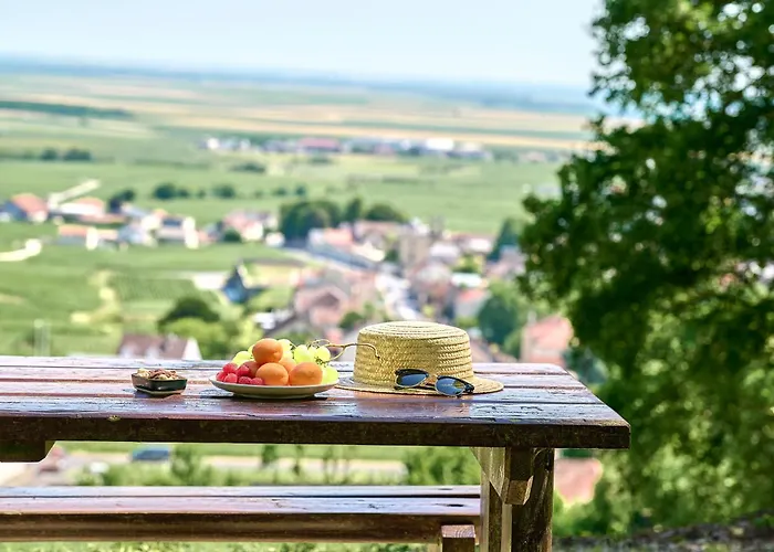 Western Le Relais Du Vigneron Hotel Blancs-Coteaux
