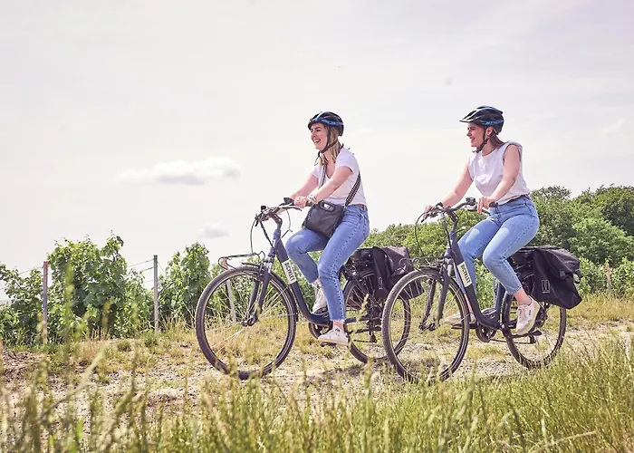 Hotel Western Le Relais Du Vigneron 3*