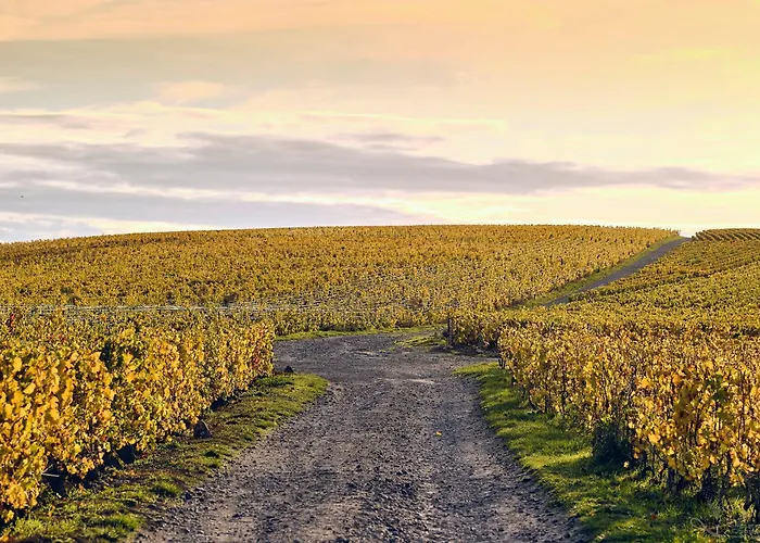 Western Le Relais Du Vigneron 3* Blancs-Coteaux